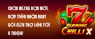 Thưởng Nạp Lần Đầu Trong Ngày promotion